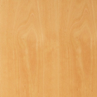 JB Kind Beech Veneered Flush FD30 Fire Door