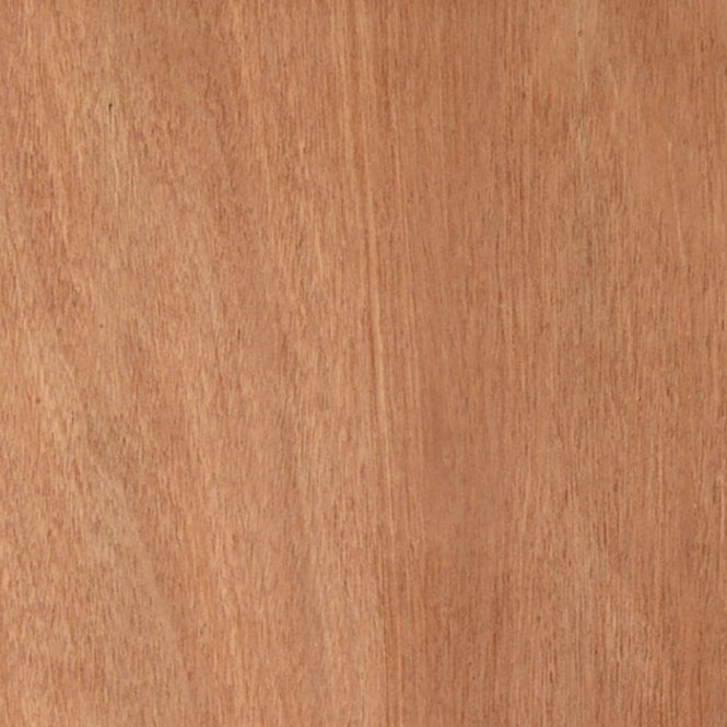 JB Kind IPLY Paintgrade Internal Door